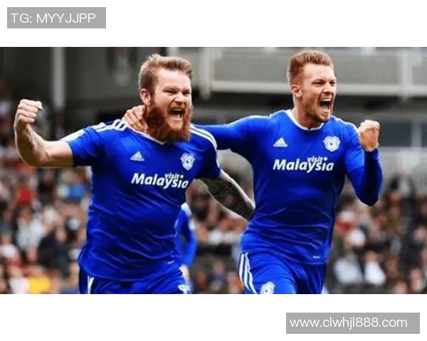 西布朗维奇与纽卡斯尔联对决分析及赛前预测详解