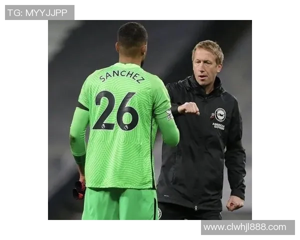 伯利：罗伯特-桑切斯体现很超卓；里斯-詹姆斯现已成了领导者